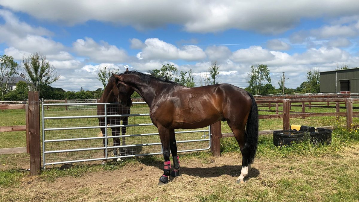 Exciting 5 yo Kafka son - Qatar