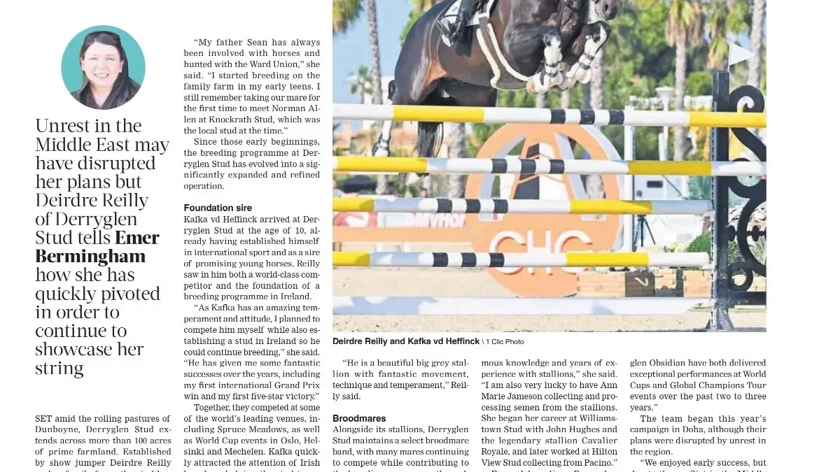 Derryglen Stud is Featured in the 2026 Edition of the Irish Field Sport Horse Stallions
