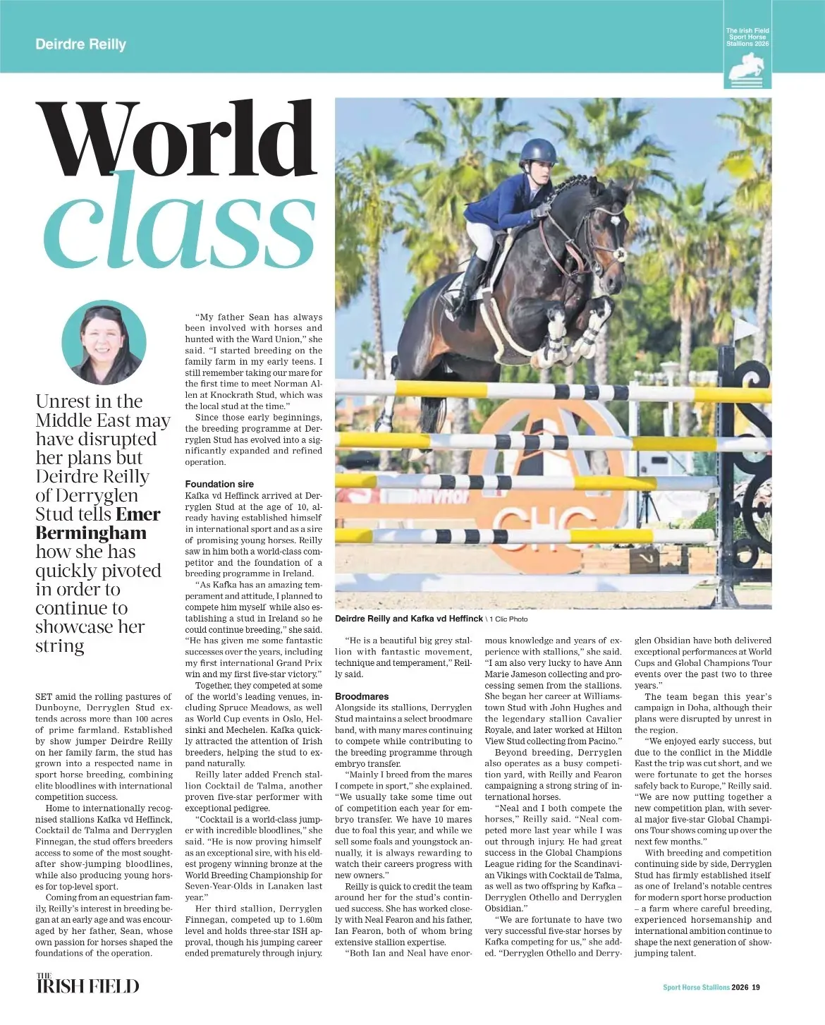 Derryglen Stud is Featured in the 2026 Edition of the Irish Field Sport Horse Stallions